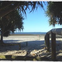 Pandanus Beach - Wynnum